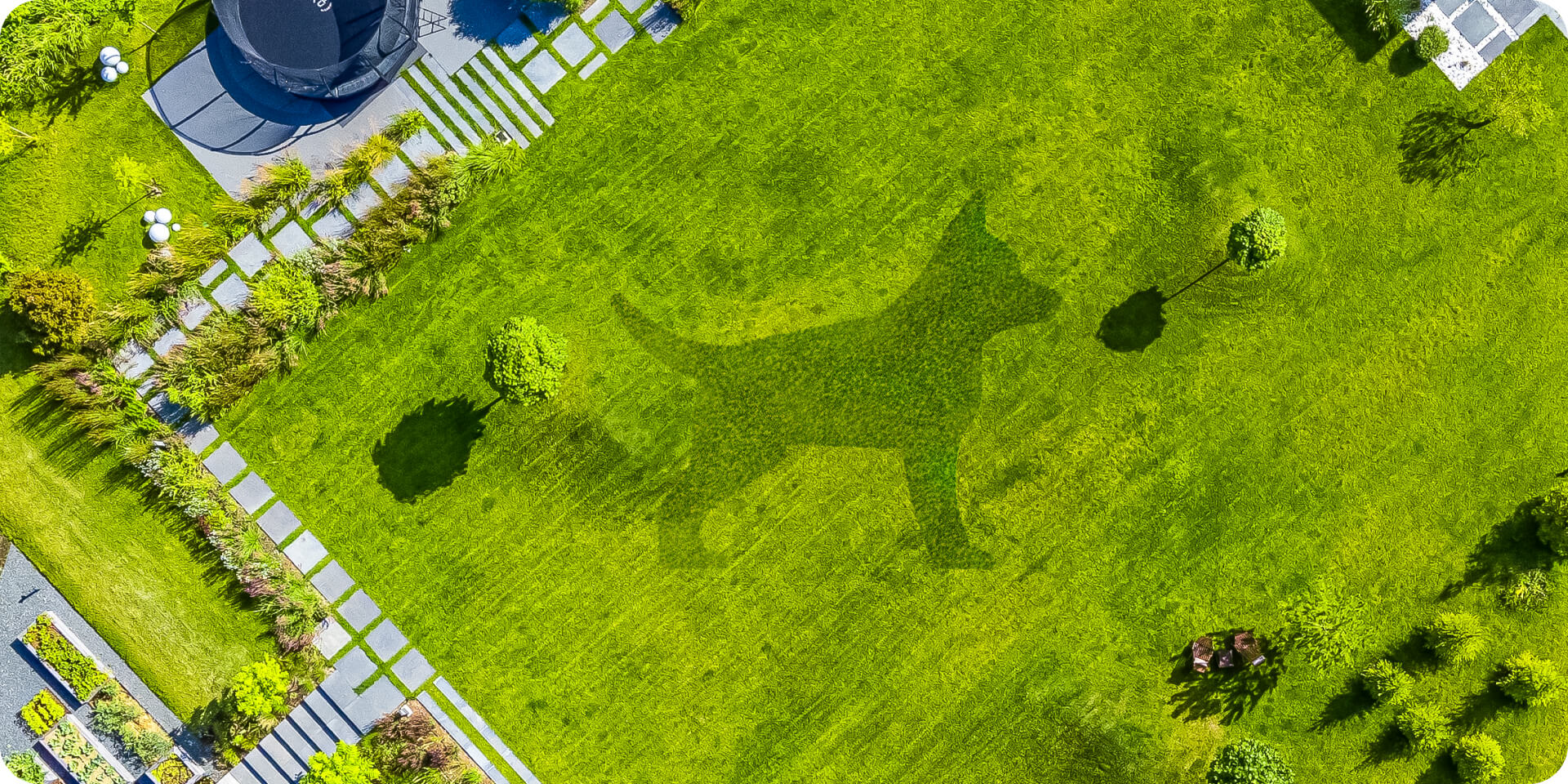 Navimow i110N robot lawn mower mowed a dog on lawn.
