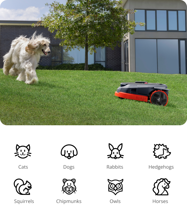 Navimow i110N robot lawn mower avoids a dog on grass.