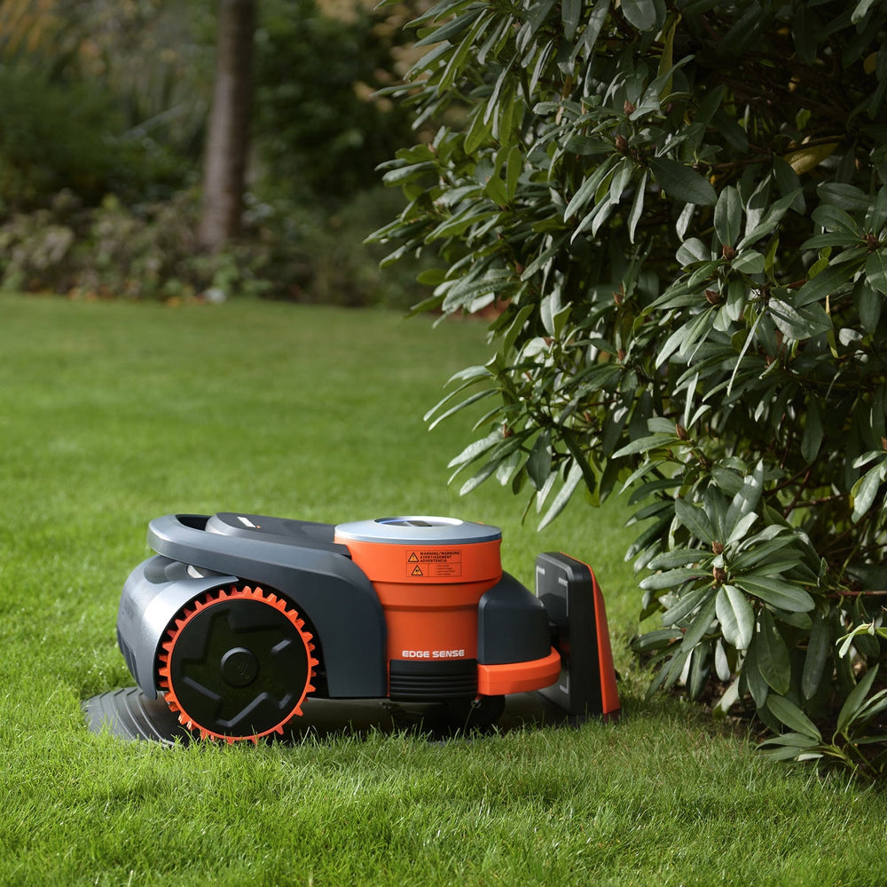Segway Navimow i110E robot lawn mower mows the green grass.