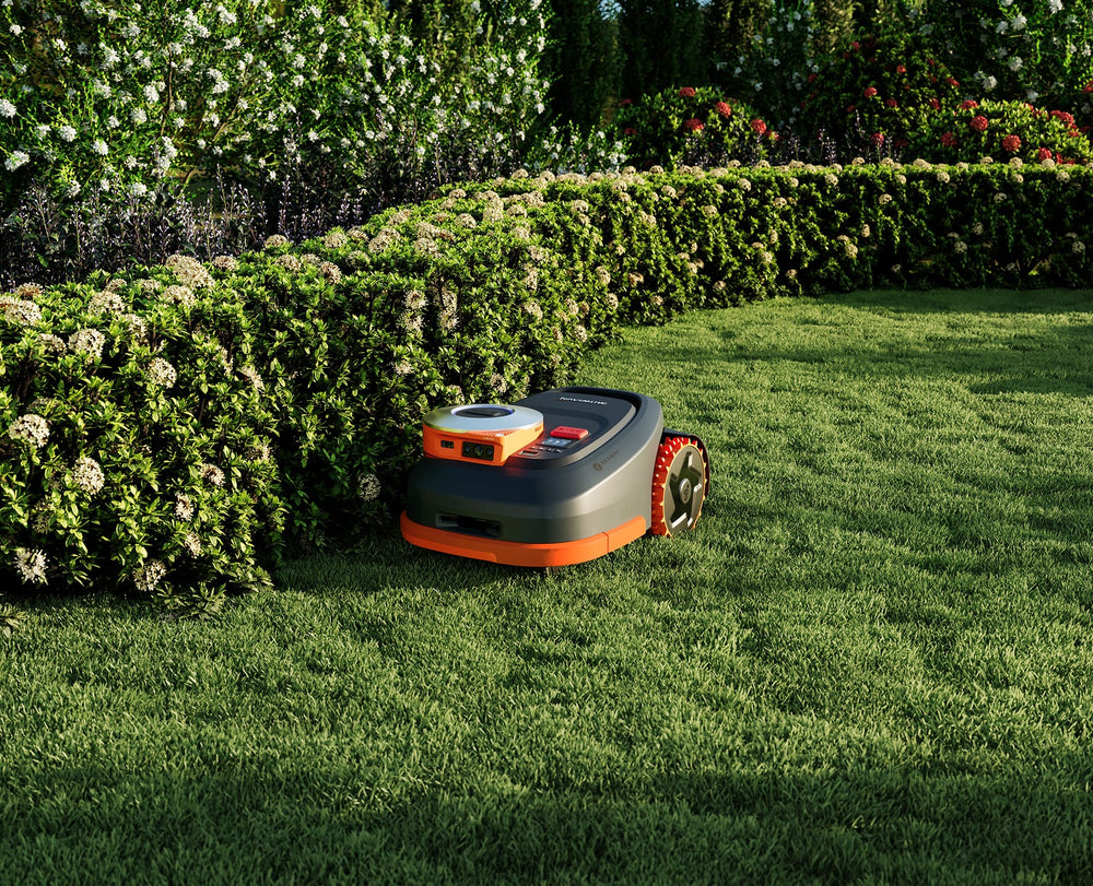 Segway Navimow robot lawn mower mows green grass near flowers.