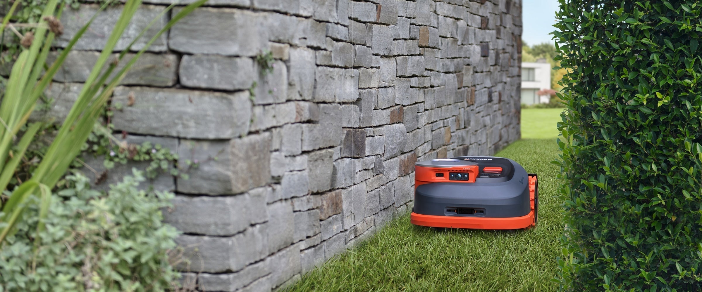 Navimow i105E robot lawn mower mows the grass near wall.