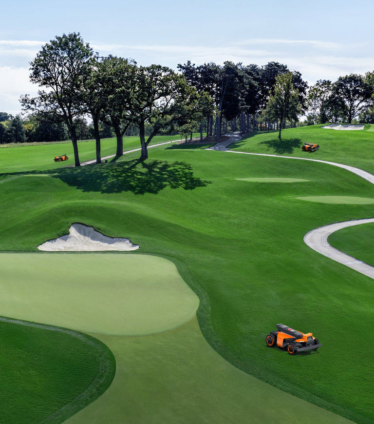 Navimow i110N robot lawn mower mows the green golf course.