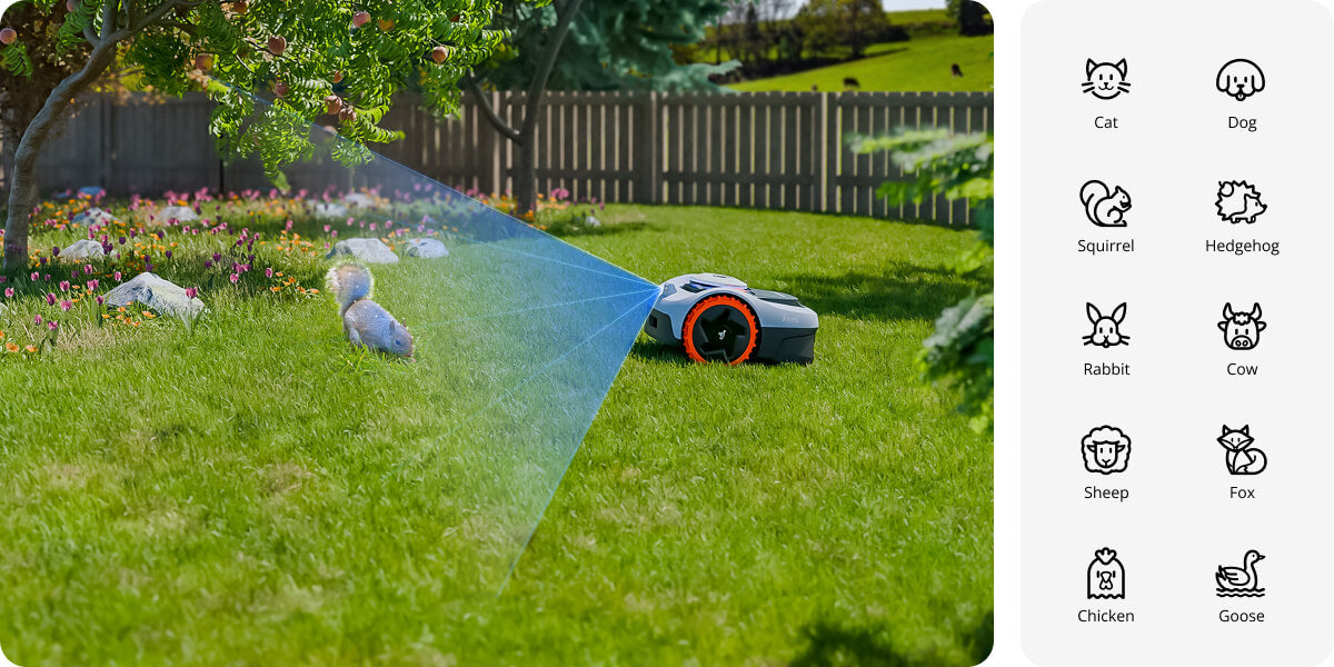 Navimow i110N robot lawn mower