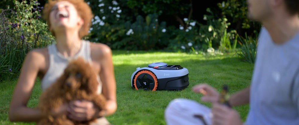 Navimow i105 robot lawn mower in a garden with dog.