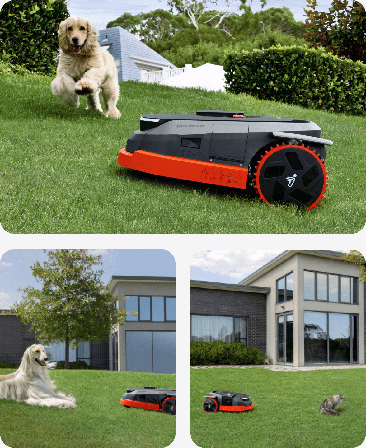 Navimow i Series robot lawn mower working safely around pets.